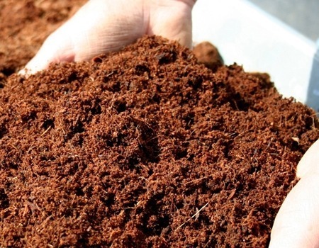 Торф нейтрализованный