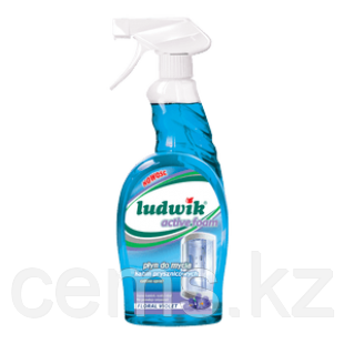 Средство для мытья душевых кабин активная пена "Ludwik", 750 мл